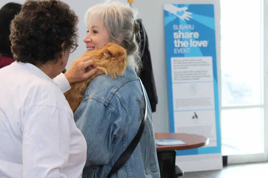 Volunteer pets an orange cat on its owner's shoulder. Image of 'Subaru Share the Love' banner in the background.